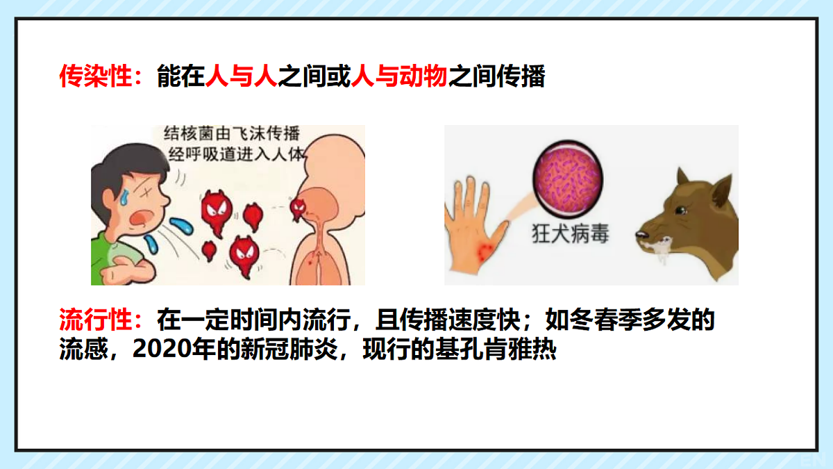 17347381第4页