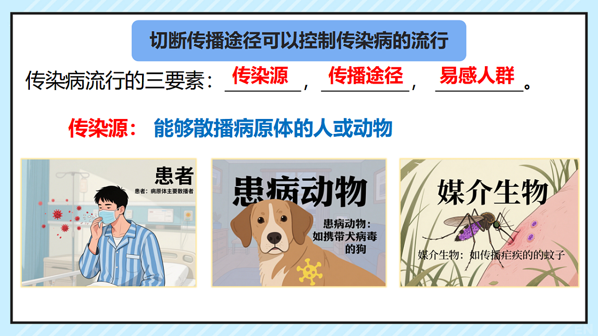 17347381第5页