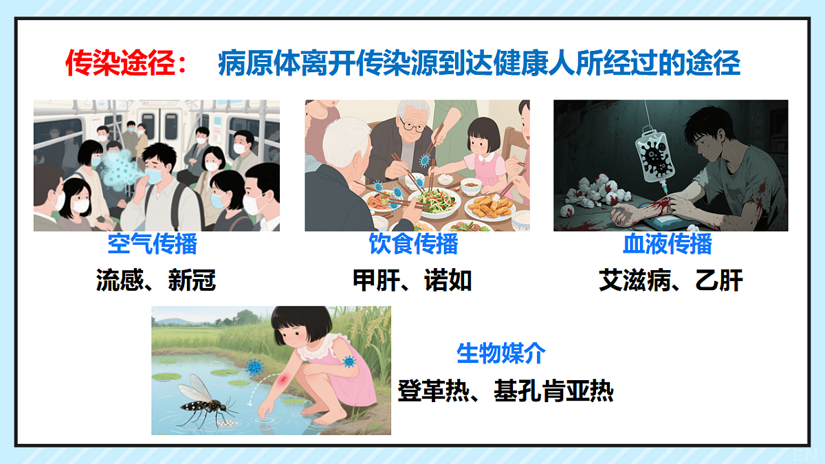 17347381第7页
