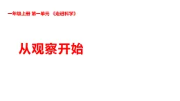 新湘科版一年級科學(xué)上冊 1-1從觀察開始（教案+課件）