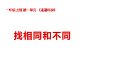 新湘科版一年級科學(xué)上冊 1-2找相同和不同（教案+課件）