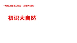 新湘科版一年級科學(xué)上冊 2-5初識大自然（教案+課件）