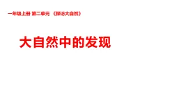 新湘科版一年級科學(xué)上冊 2-7大自然中的發(fā)現(xiàn)（教案+課件）