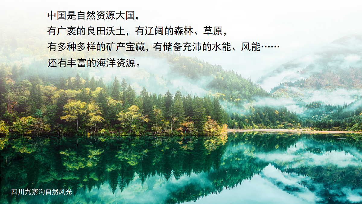 17347791第2页