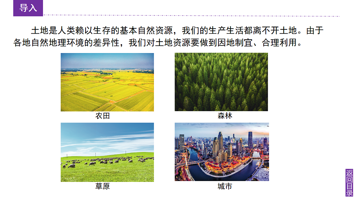 17347791第5页