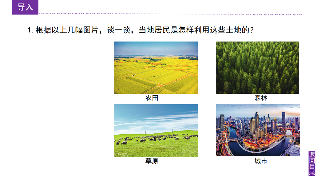 17347791第6页