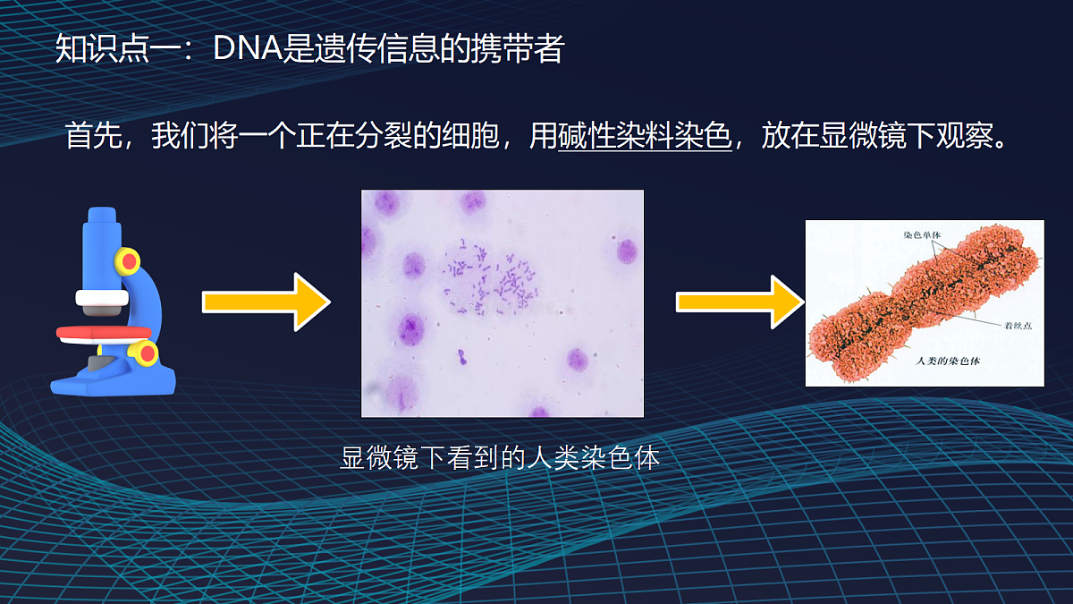 17348010第4页