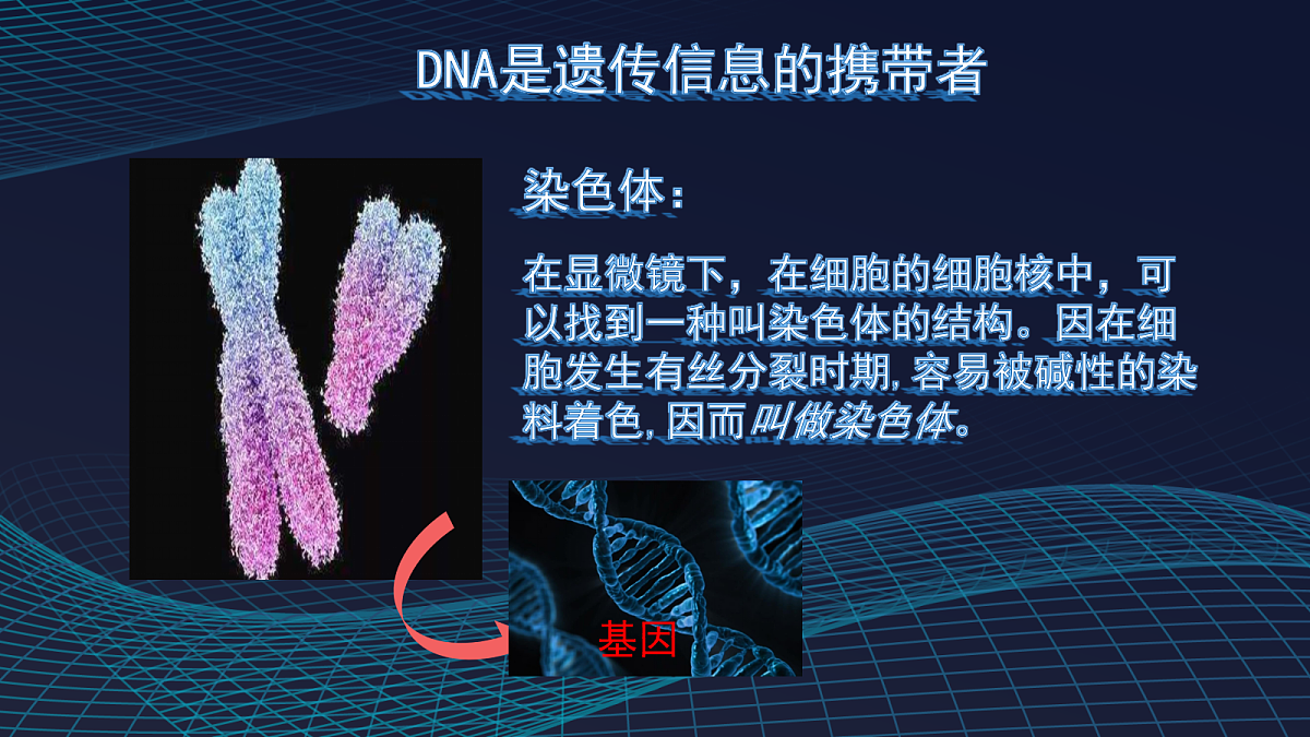 17348010第5页