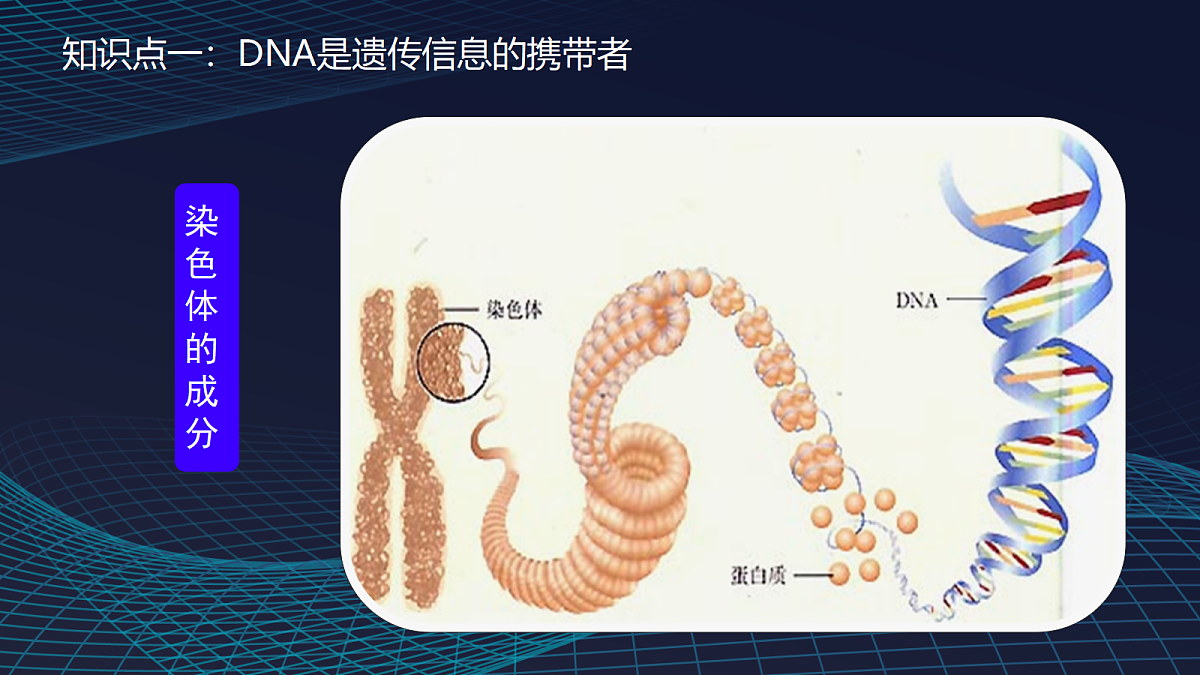 17348010第6页