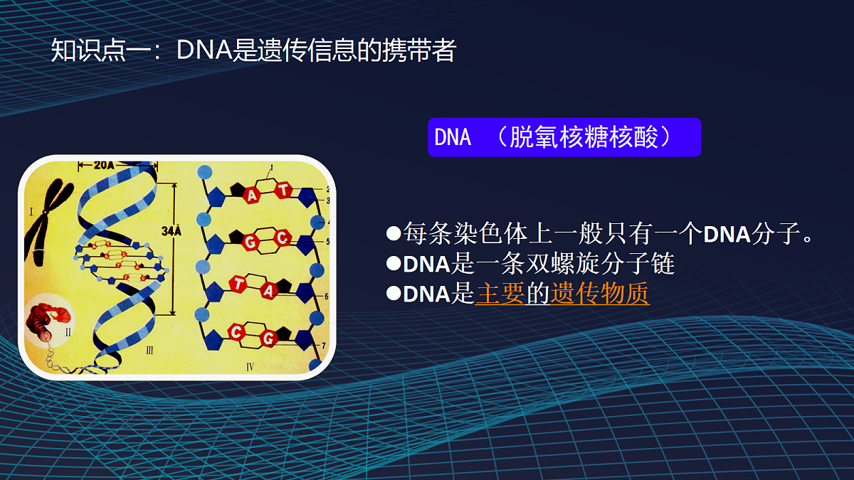 17348010第7页