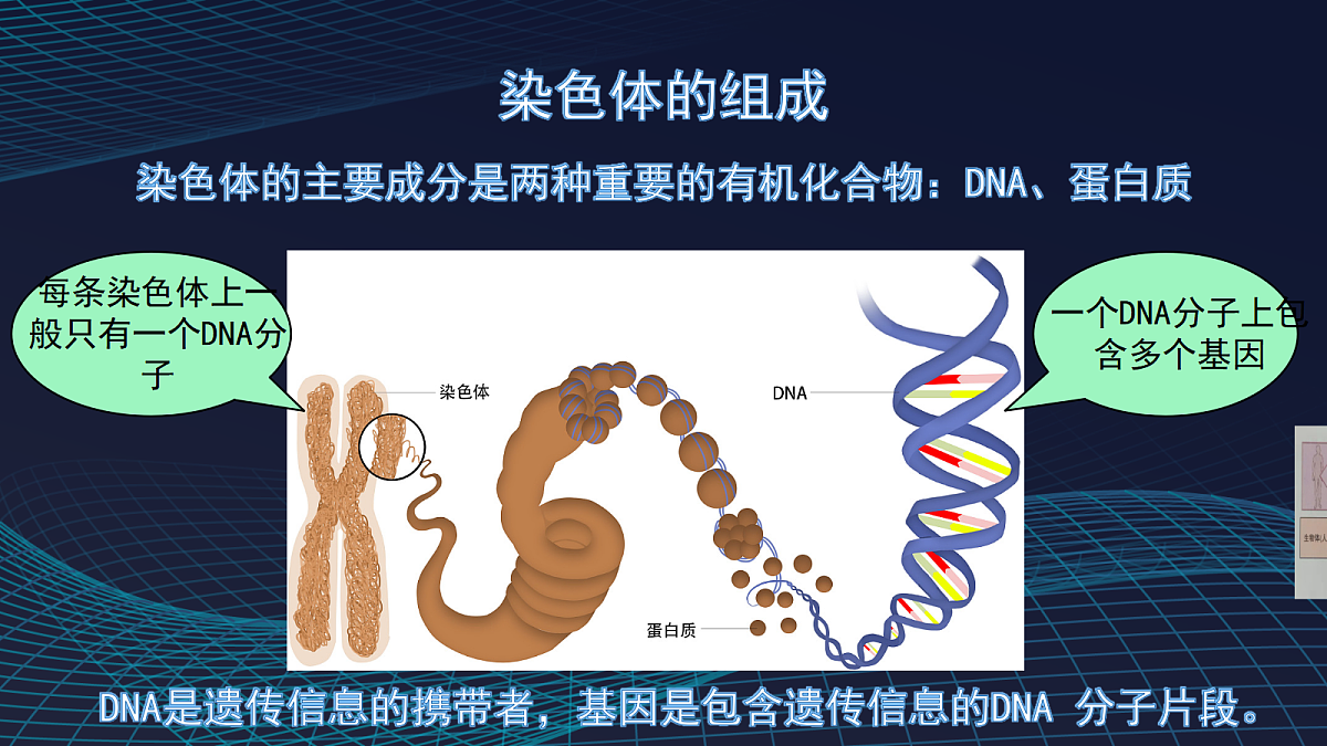 17348010第8页