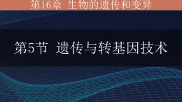 初中  生物  北师大版（2024）  八年级上册（2024）  第6单元16.5 遗传与转基因技术 课件