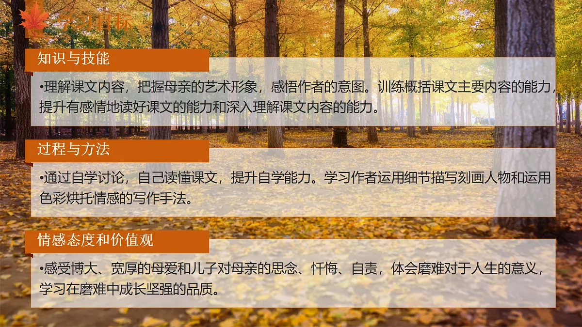 17348042第2页