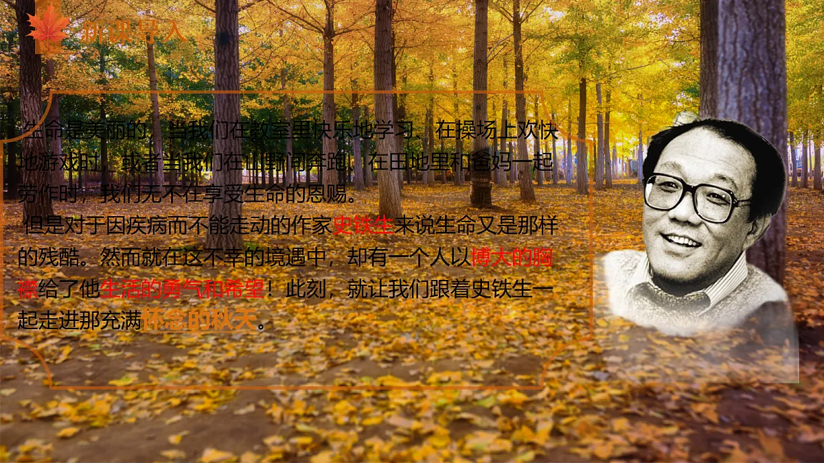 17348042第5页