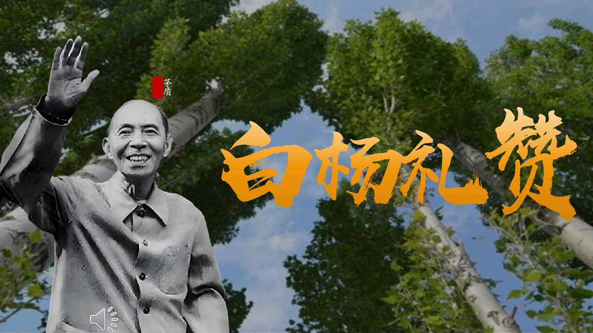 17348901第1页