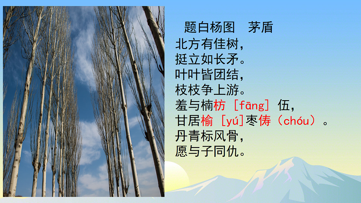 17348901第4页