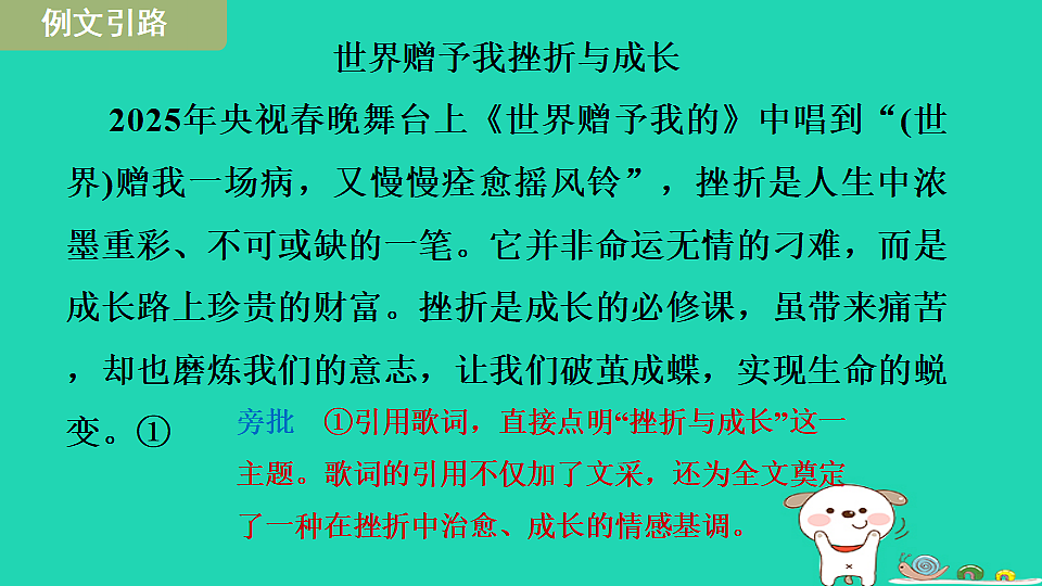 17349398第3页