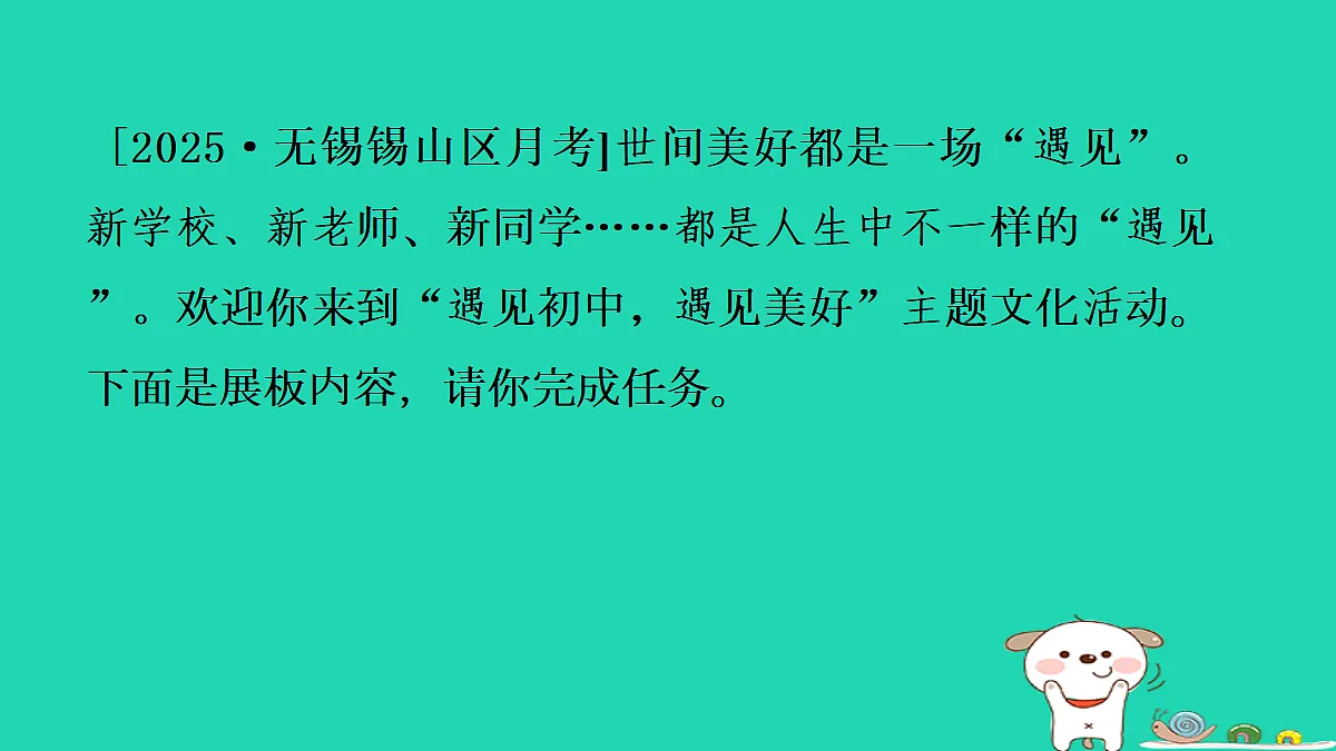 17349455第3页