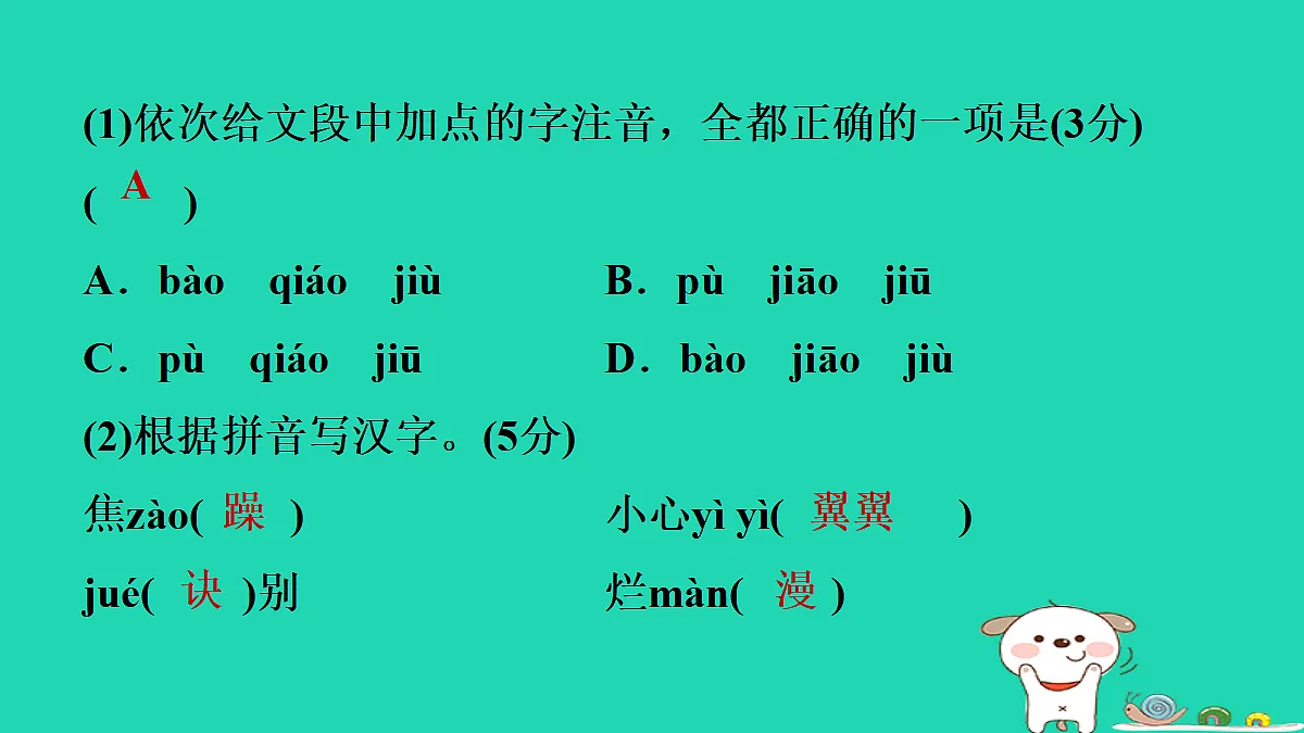 17349455第5页