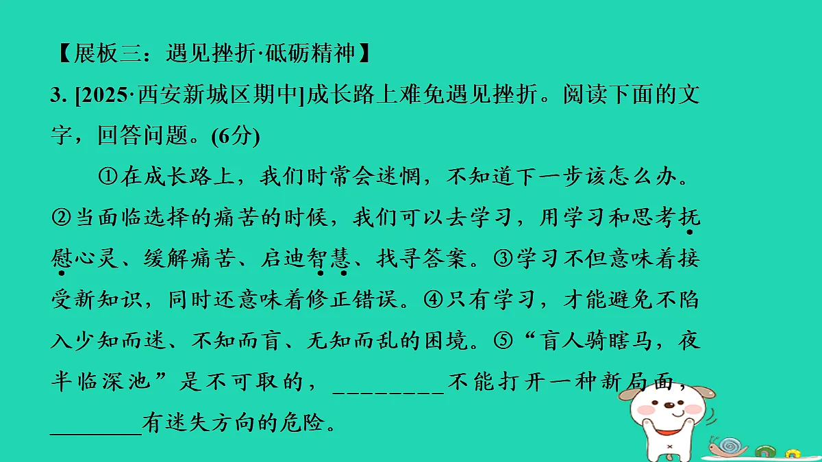 17349455第8页