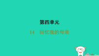 人教部编版(2024)七年级上册(2024)回忆我的母亲/朱德习题课件ppt