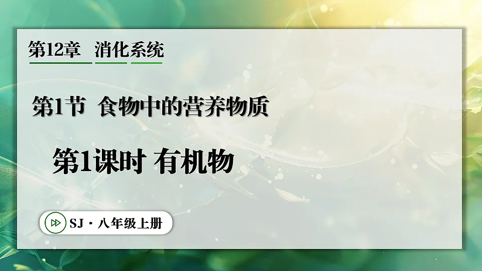 第1课时 有机物第1页