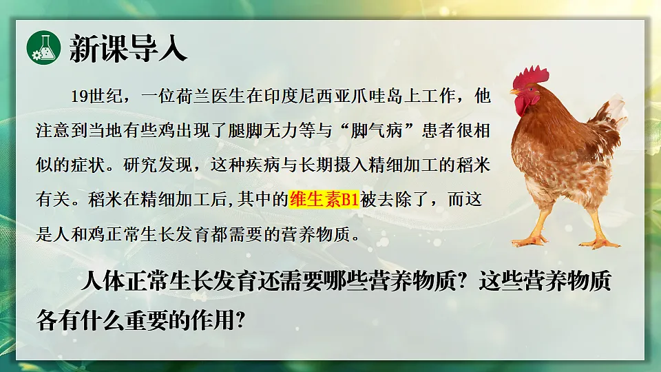 第1课时 有机物第3页