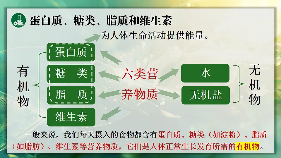 第1课时 有机物第5页