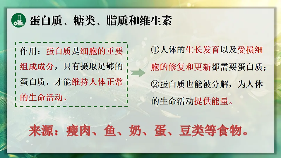 第1课时 有机物第7页