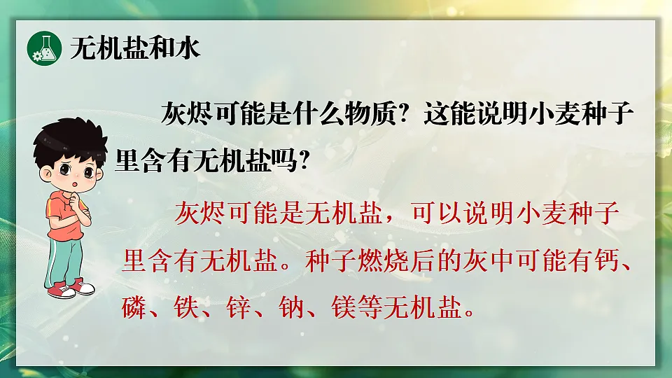 第2课时 无机物第7页