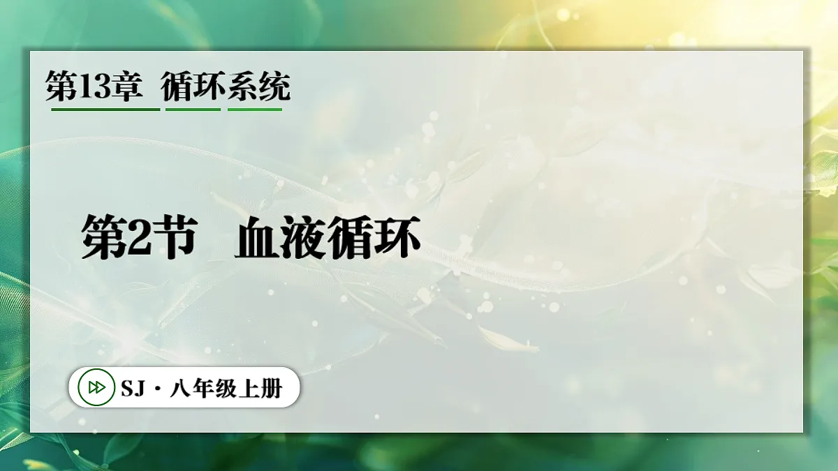 17349622第1页