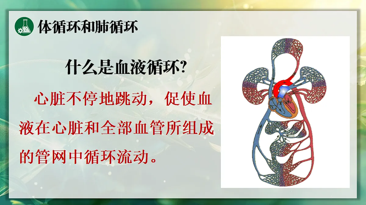 17349622第4页