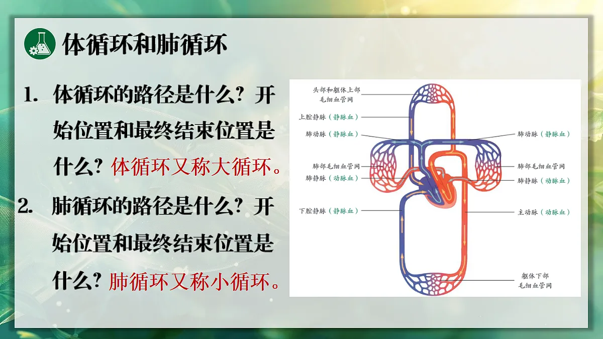 17349622第6页