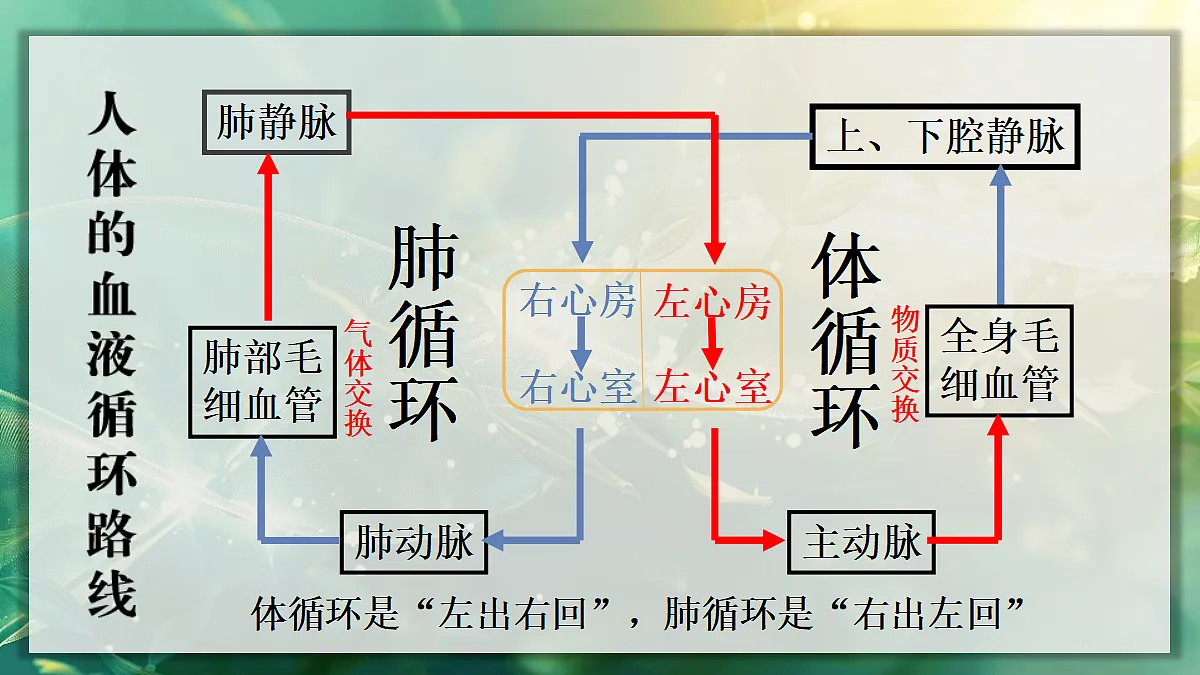 17349622第7页