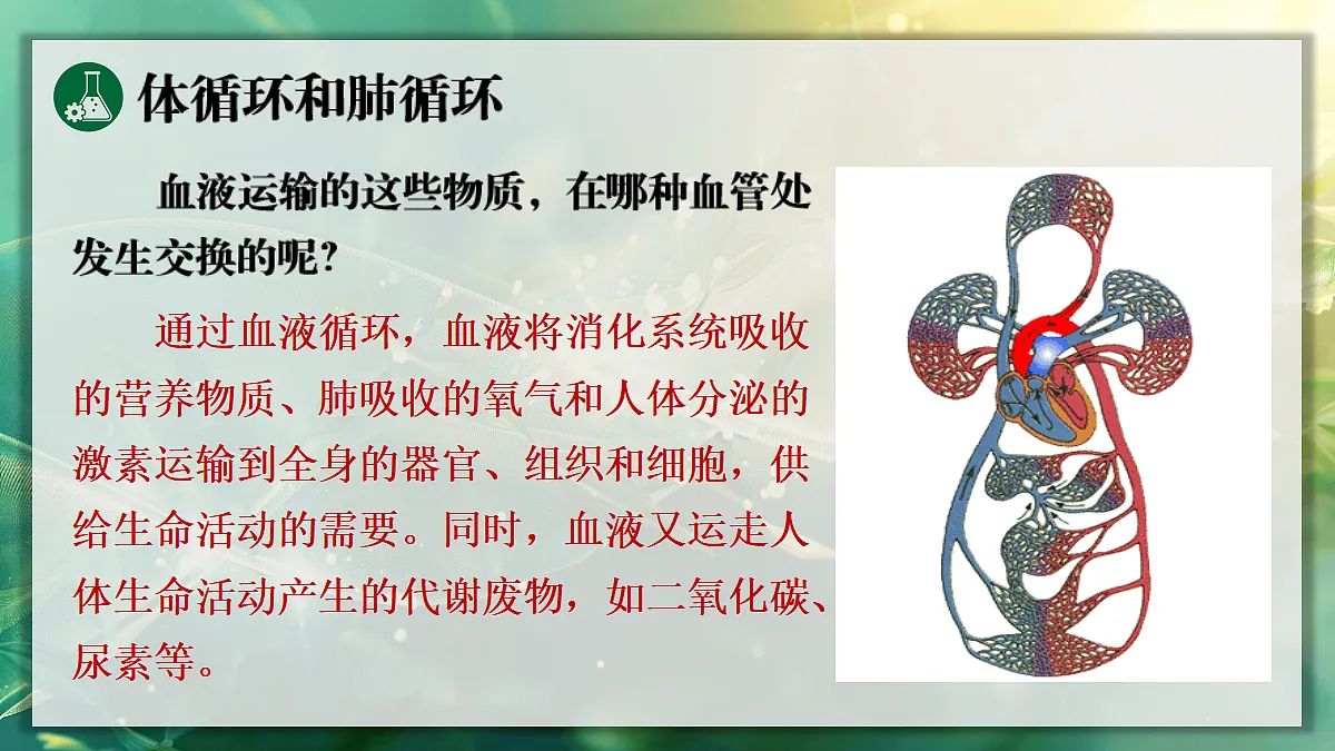 17349622第8页