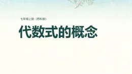 蘇科版新版本數(shù)學七年級上冊教學課件第三章代數(shù)式3.2代數(shù)式的概念