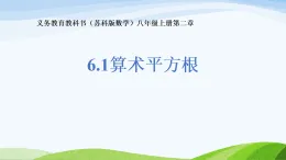 蘇科版新版數(shù)學(xué)教學(xué)課件八上第二章實(shí)數(shù)的初步認(rèn)識6.1算術(shù)平方根
