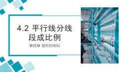 4.2 平行線分線段成比例課件-北師大版九年級上冊數(shù)學(xué)