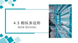 4.3 相似多邊形課件-北師大版九年級上冊數(shù)學(xué)
