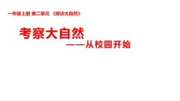 新湘科版一年級科學(xué)上冊 2-6考察大自然—從校園開始（教案+課件）