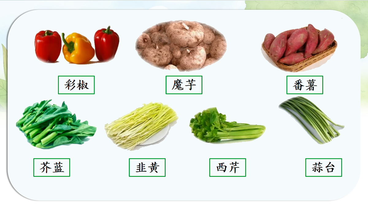 17350488第8页
