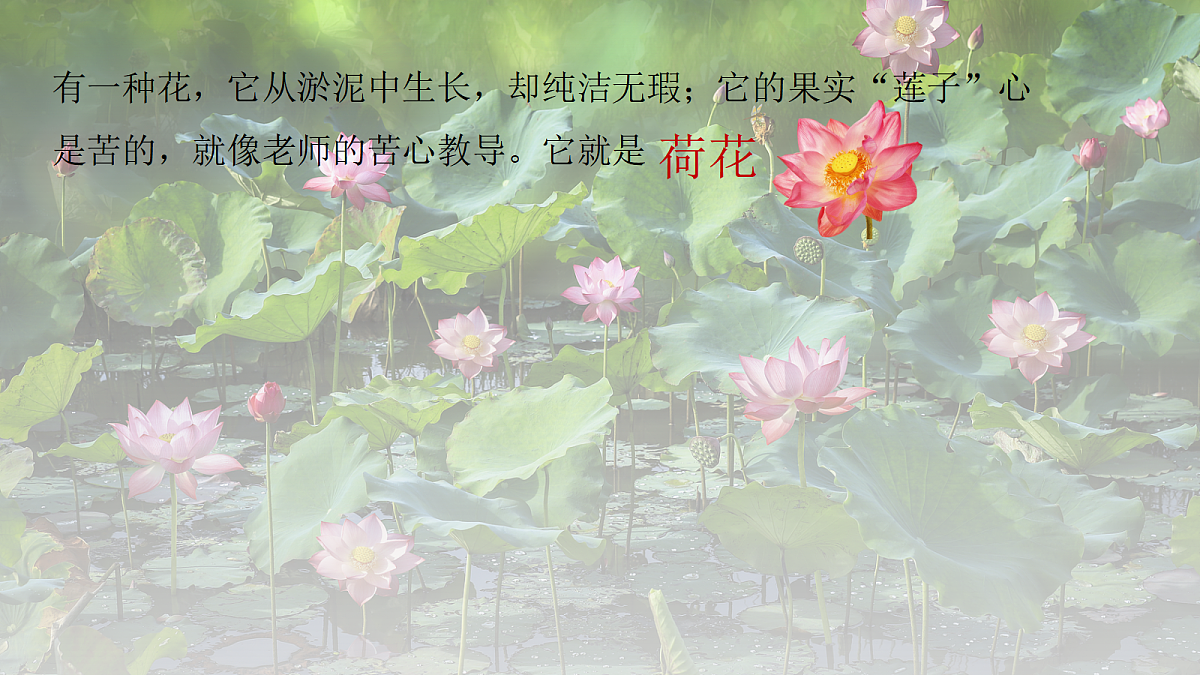 17350490第8页
