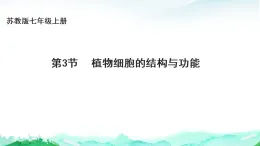 蘇教版七年級生物上冊第1單元生物體的結構層次第1章認識細胞1.3植物細胞的結構與功能課件+學案+答案