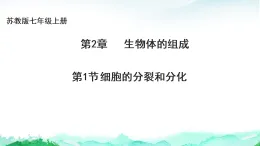 蘇教版七年級生物上冊第1單元生物體的結構層次第2章生物體的組成2.1細胞的分裂和分化課件+學案+答案