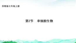 蘇教版七年級生物上冊第1單元生物體的結構層次第2章生物體的組成2.2單細胞生物課件+學案+答案