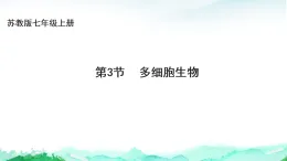 蘇教版七年級生物上冊第1單元生物體的結構層次第2章生物體的組成2.3多細胞生物課件+學案+答案