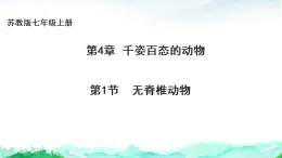 蘇教版七年級生物上冊第2單元生物的多樣性第4章千姿百態(tài)的動物4.1無脊椎動物課件+學案+答案