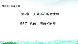蘇教版七年級生物上冊第2單元生物的多樣性第5章無處不在的微生物5.1真菌、細菌和病毒課件+學案+答案