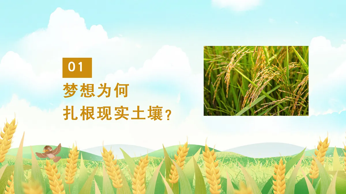 17351778第5页