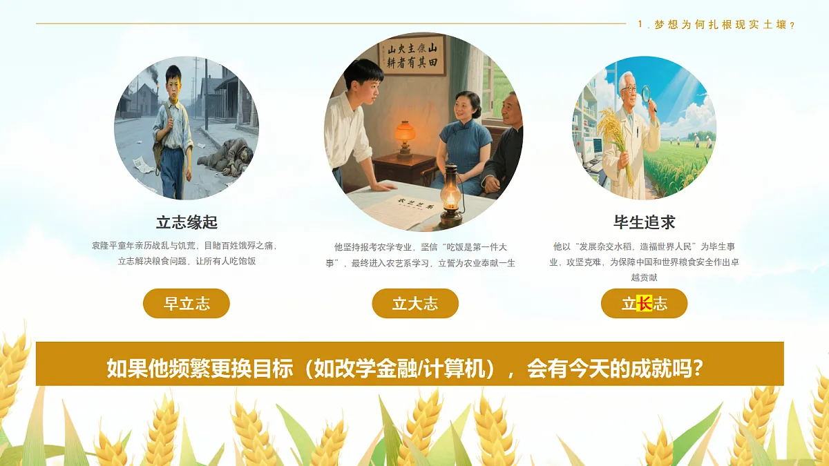 17351778第8页